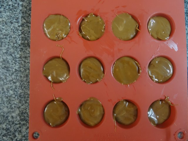 photo16.jpg