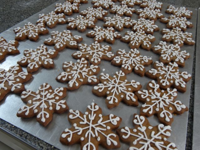 photo17.jpg